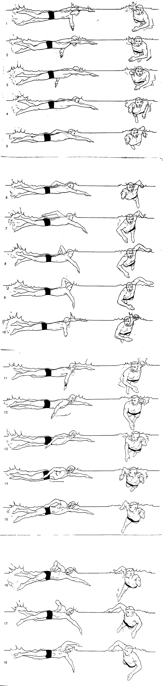 Disegni sulla tecnica del crawl