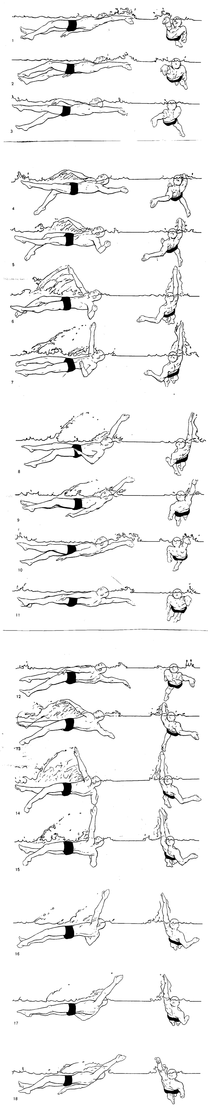 Disegni sulla tecnica del dorso