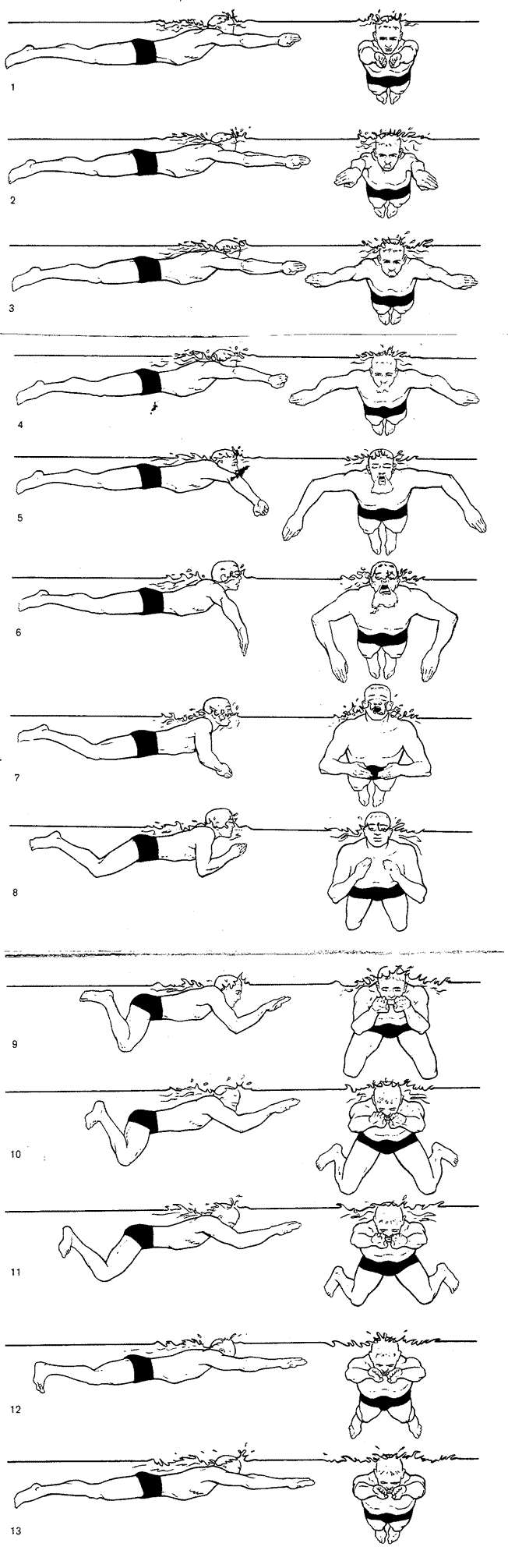 Disegni sulla tecnica della rana
